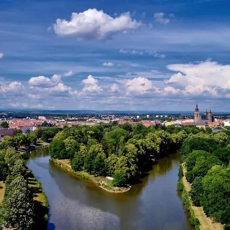 Holata 401 Hradec Králové