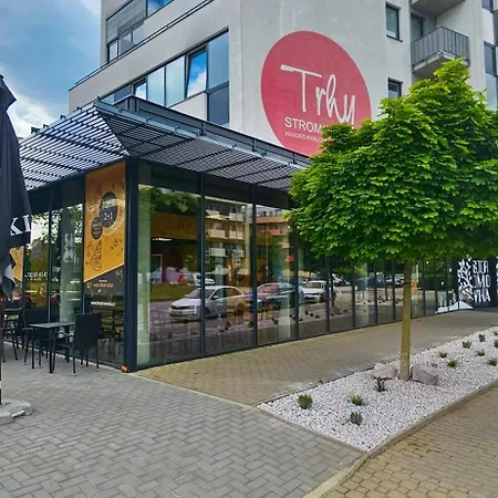 Apartment Holata 401 Hradec Kralove